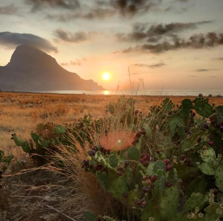 Appartamento I Tramonti Di Cofano Кастеллуццо Екстер'єр фото